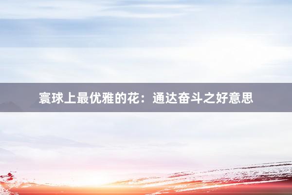 寰球上最优雅的花：通达奋斗之好意思