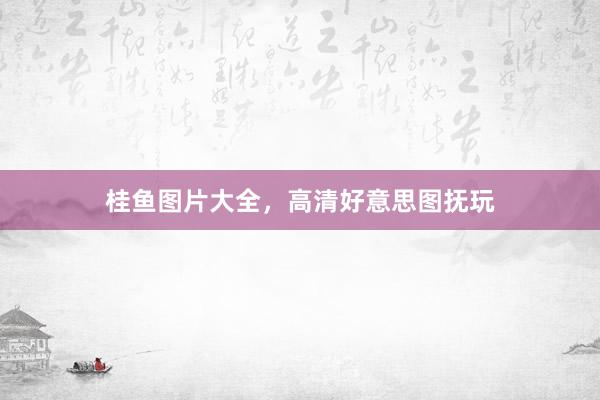 桂鱼图片大全，高清好意思图抚玩